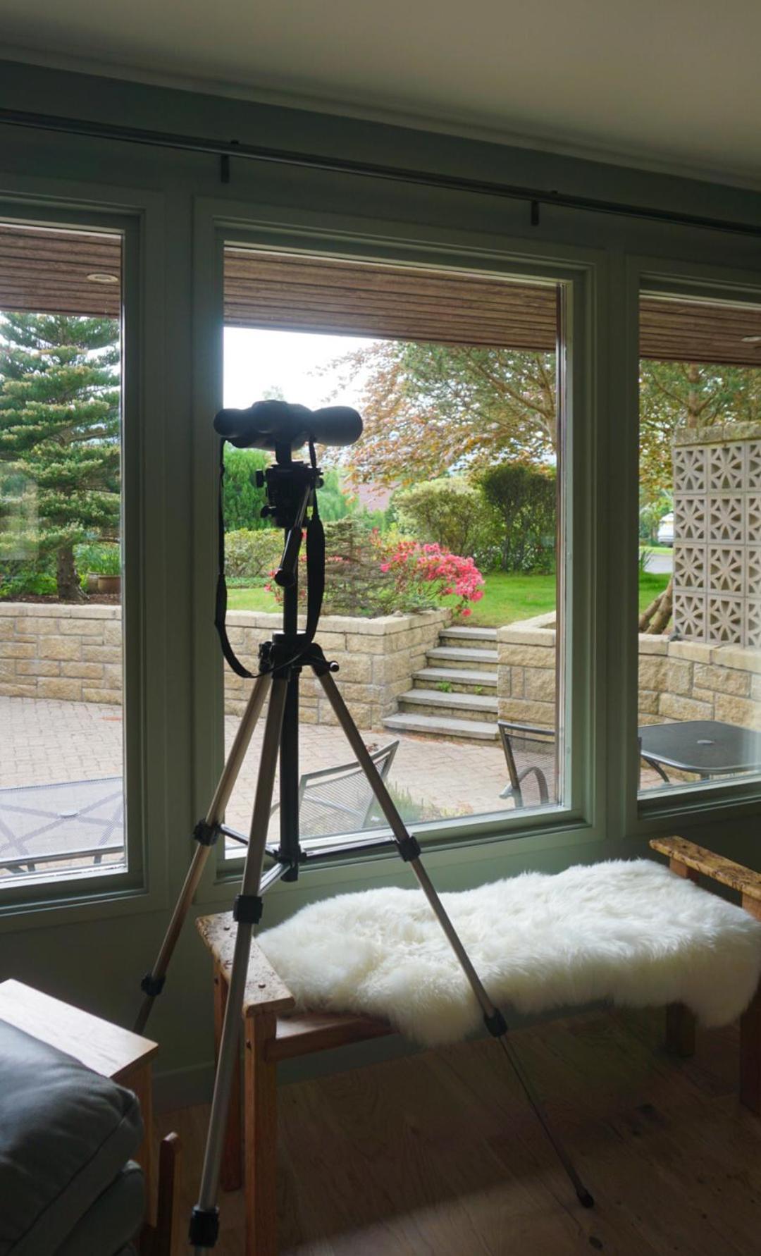 Greenwood - Stunning Scandinavian Style In The Heart Of Royal Deeside Holiday home Ballater